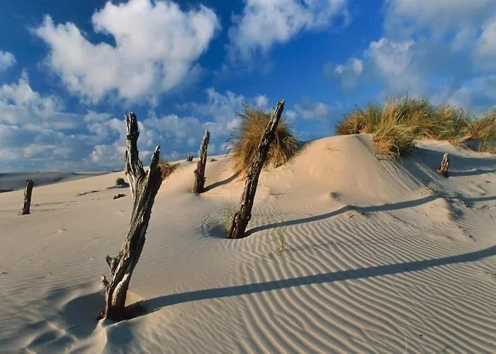 Luxury 3-room By The Apartament Rowy (Pomerania)